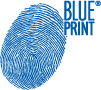 Гальмівний диск, BLUE PRINT, ADV184312
